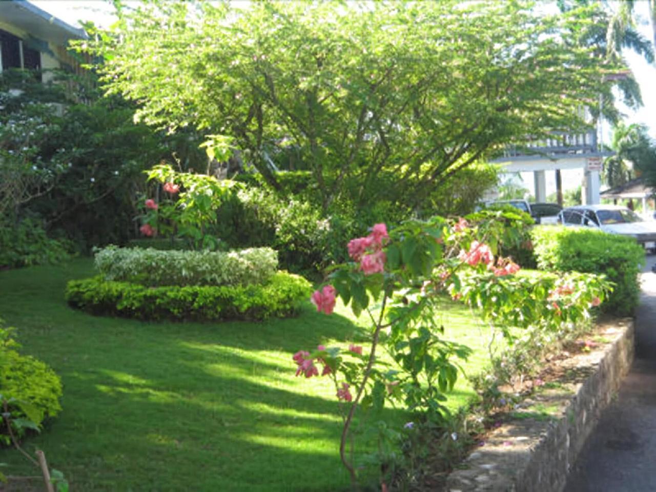 מונטגו ביי Paradise Brandon Hill Guest House מראה חיצוני תמונה