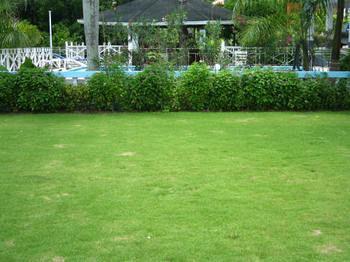 מונטגו ביי Paradise Brandon Hill Guest House מראה חיצוני תמונה