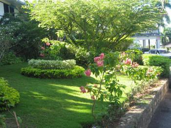 מונטגו ביי Paradise Brandon Hill Guest House מראה חיצוני תמונה